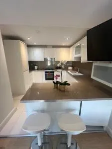 Zenobia London Luxury Apartments - 芬奇利