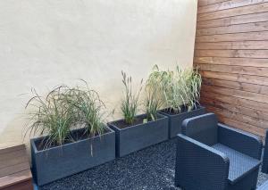 Appartements Le Briand Appartement 4etoiles Nancy Thermal Cosy avec Terrasse Wifi : photos des chambres
