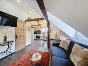 Le NID DE CIGOGNE - Calme - Neuf - Haut de gamme - Dernier étage - Bernardswiller