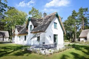 Sandregenpfeifer - Zirchow