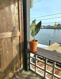 เฉื่อย โฮมสเตย์