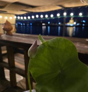 เฉื่อย โฮมสเตย์