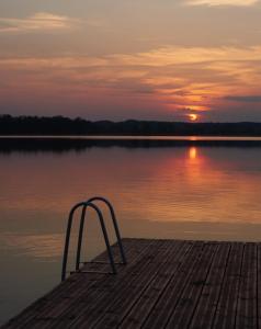 Dzikie Historie Młynik