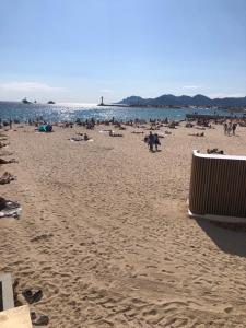 Centre heart of CAnnes