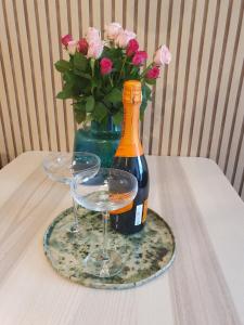 Blue apartment strict center