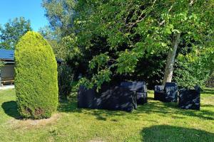 Maisons de vacances Gite du petit ruisseau 6,5km du zoo : photos des chambres