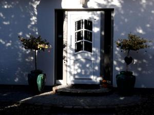 Haus am Dorfteich - Wohnung 1