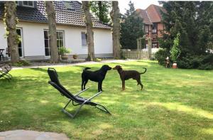 Haus am Dorfteich - Wohnung 1