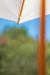 La Baronnerie Normande - Piscine et jacuzzi