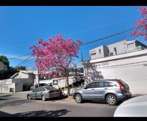 Rincón de MILBERG Tigre