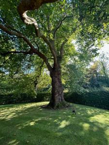 Idyllic rural retreat