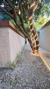 Terra castle Hidden Zen Garden Teuku Angkasa Dago Bandung