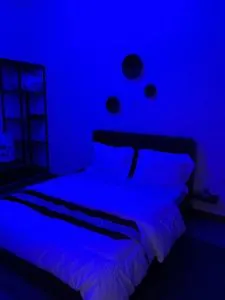 Lavish luxury homes - 育空河