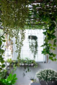 Homey and Cozey Poblacion Makati S10