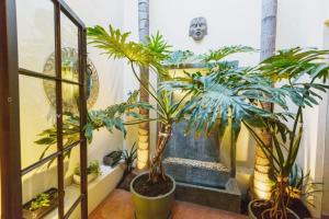 CASA RUBEO - San Miguel Rooftop Casa, Free Parking, AC, Centro