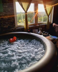 Sunčana Strana Fruške Gore - veliko imanje sa kucom za odmor