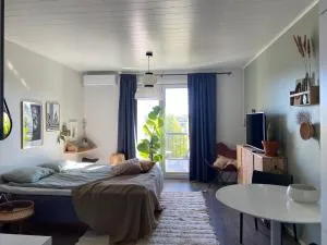 Viihtyisä yksiö, parkkipaikka, ilmastointi, wifi, Aino Areena 300m - Numminen