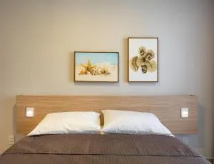 Mar de Tabatinga #B4 - Sofisticação por Carpediem - 皮廷布