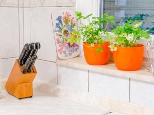 Apartment Sea Star - Three-Bedroom Apartment with Pool and Sea View