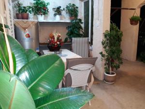 Guest House Ruza - Double Room with Shared Bathroom
