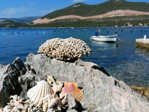 Holiday Home Blue Dream - Two Bedroom Apartment with Terrace and Sea View A2