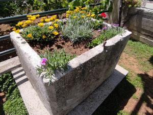 Apartment Kola with balcony