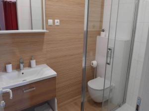 Apartments Dobrila - Superior Two Bedroom Apartment with Terrace and sea view - B2