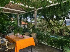 Apartments Maria Kolo ep- Studio Apartment with Terrace and Sea View - 科洛塞普