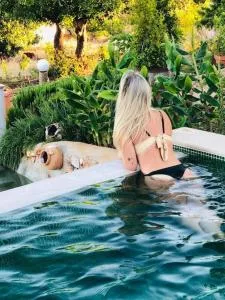 Casa Monte das Medronheiras - Vale Covo