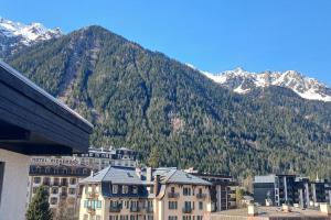 Two bedroom apartment, Hypercenter, terrace Mont Blanc, parking