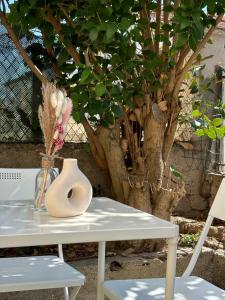 Appartements Le Petit Cocon de Carcassonne : photos des chambres