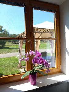 Ferienwohnung Waldhäusl