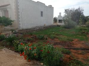 Casa vacanze Salento Nonno Totò