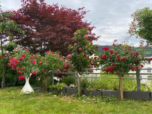 Beautiful flat rooms in Lucerne, Switzerland