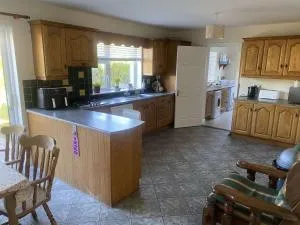 Detached House - Carlow Town - 卡洛