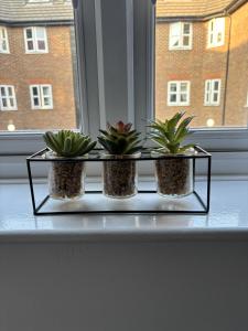 Newly refurbished 1 bed flat 7 mins from Luton airport