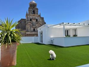 Eva Recommends Capilla de la Jura en Jerez