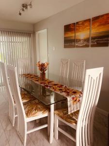 Family Retreat in Tropical Oasis