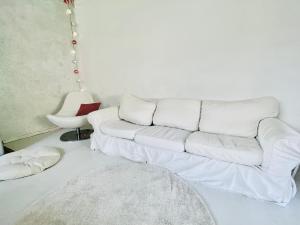 Entire studio house with a garden