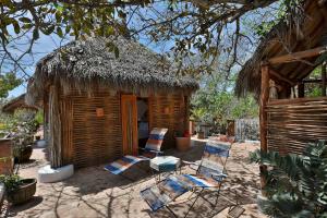 Casa Nainoa - Home with Pool & Rooftop Palapa