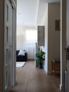 Amplio y tranquilo apartamento casa