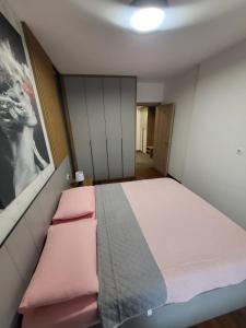 Master apartment Podgorica
