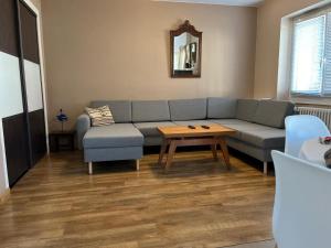 Appartement à Évian-les-Bains avec wifi, garage fermé et animaux admis - FR-1-498-40