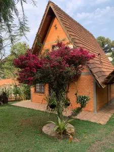 Chalé Araucária - Guatambu