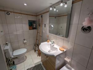 Maisons de vacances Maison XVIIIe avec jardin privatif - Yevre le Chatel - FR-1-590-440 : photos des chambres