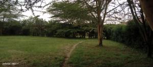 Mount Longonot Country Resort