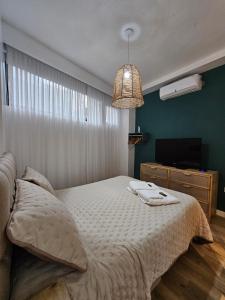 Recoleta de ensueños