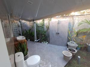 Arista Lakey Peak House