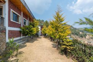 Pet-Friendly 2 bedroom mountain view cottage