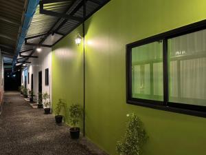 Bunk Bed Hostel Khao Sok